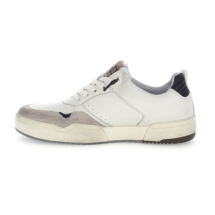 Zapatillas de Baloncesto Lotto Hoop Stars RUB 2 Hombre Blancas | EH532463J6